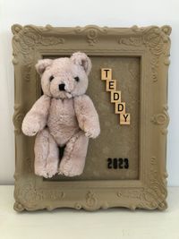 Teddy in lijst